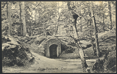 17431 Gezicht op de grot in het park van het kasteel Drakestein (Slotlaan 9) te Lage Vuursche (gemeente Baarn).
